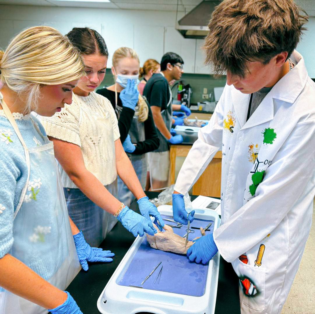 495297797_1239673041492578_5287069284087195439_n_edit